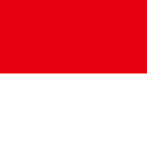 eSIM for Indonesia 50GB 30Days